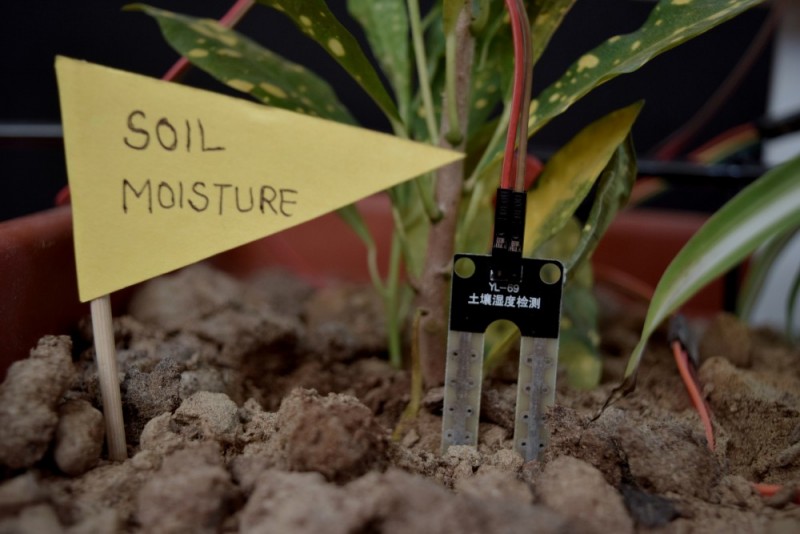 Plant Health Monitoring